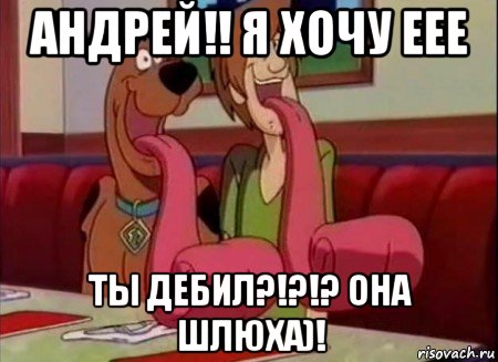 андрей!! я хочу еее ты дебил?!?!? она шлюха)!, Мем Скуби ду