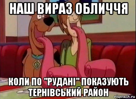 наш вираз обличчя коли по "рудані" показують тернівський район, Мем Скуби ду