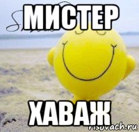 мистер хаваж