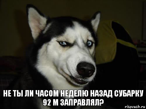 Не ты ли часом неделю назад субарку 92 м заправлял?, Комикс  Собака подозревака