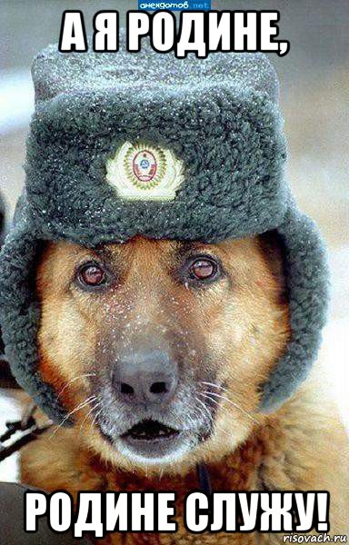 а я родине, родине служу!
