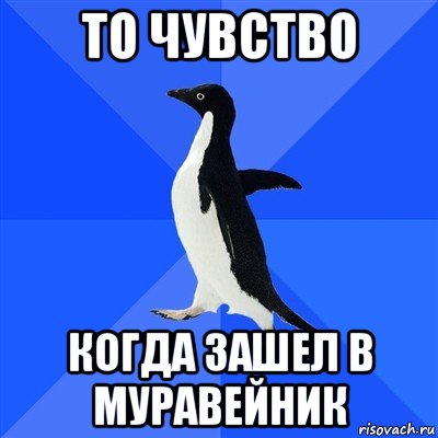 то чувство когда зашел в муравейник, Мем  Социально-неуклюжий пингвин