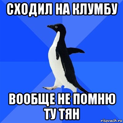 сходил на клумбу вообще не помню ту тян, Мем  Социально-неуклюжий пингвин