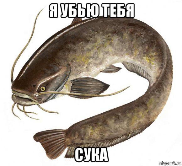 я убью тебя сука, Мем Сом