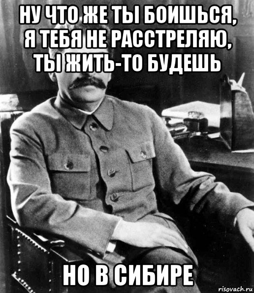 ну что же ты боишься, я тебя не расстреляю, ты жить-то будешь но в сибире, Мем  иосиф сталин