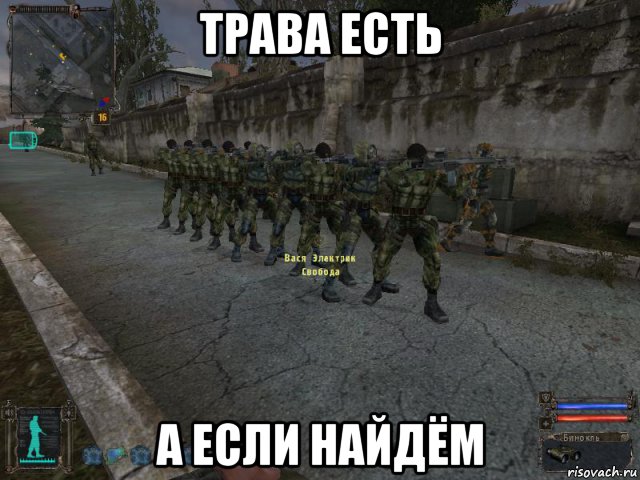 трава есть а если найдём