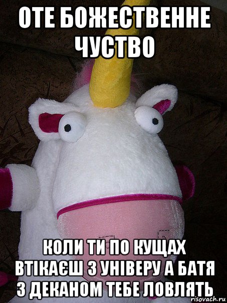 оте божественне чуство коли ти по кущах втікаєш з універу а батя з деканом тебе ловлять, Мем Створюйте меминайкрутш будуть на