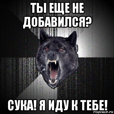 ты еще не добавился? сука! я иду к тебе!, Мем Сумасшедший волк