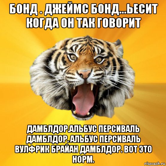 бонд . джеймс бонд...ьесит когда он так говорит дамблдор.альбус персиваль дамблдор. альбус персиваль вулфрик брайан дамблдор. вот это норм.