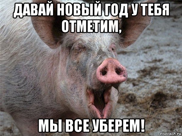 давай новый год у тебя отметим, мы все уберем!
