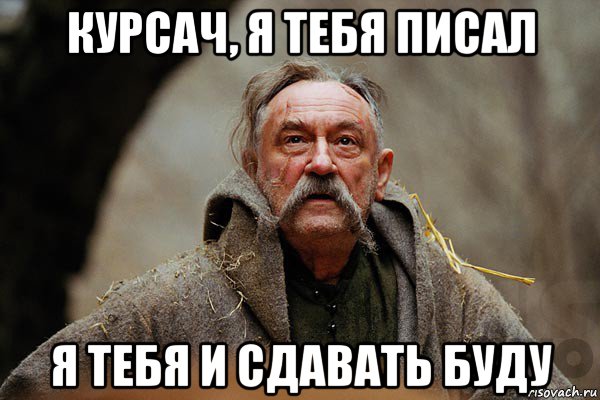 курсач, я тебя писал я тебя и сдавать буду, Мем Тарас Бульба мем