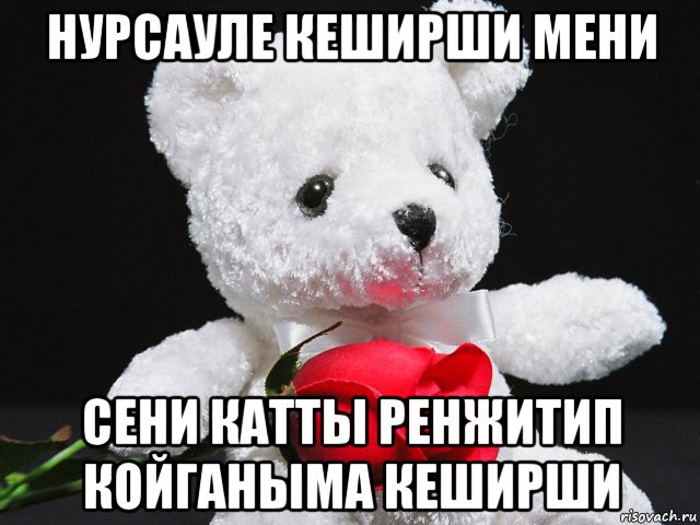 нурсауле кеширши мени сени катты ренжитип койганыма кеширши, Мем This teddy