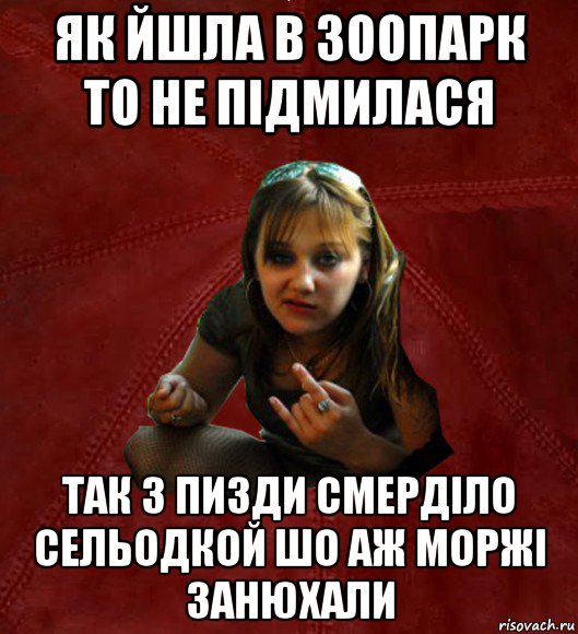 як йшла в зоопарк то не підмилася так з пизди смерділо сельодкой шо аж моржі занюхали, Мем Тьола Маша