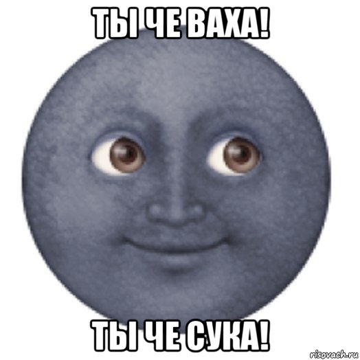 ты че ваха! ты че сука!