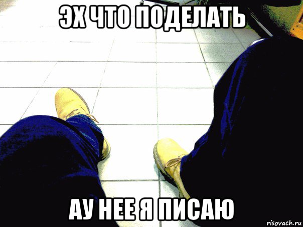 эх что поделать ау нее я писаю, Мем трололо