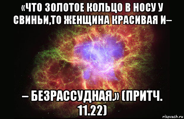 «что золотое кольцо в носу у свиньи,то женщина красивая и– – безрассудная.» (притч. 11.22), Мем Туманность