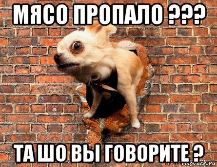 мясо пропало ??? та шо вы говорите ?
