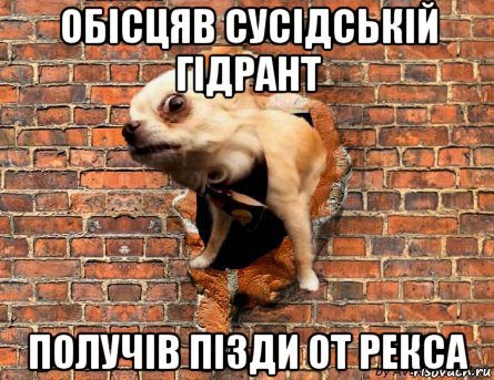 обісцяв сусідській гідрант получів пізди от рекса