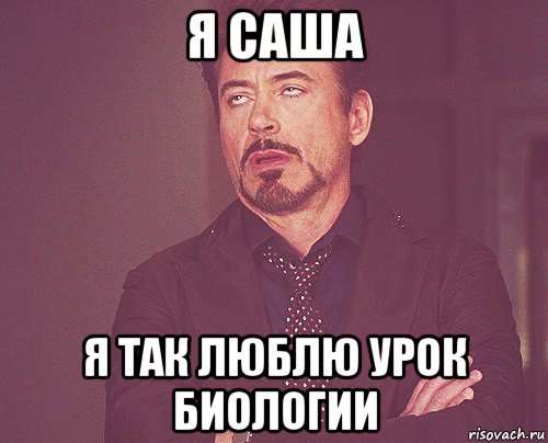 я саша я так люблю урок биологии, Мем твое выражение лица