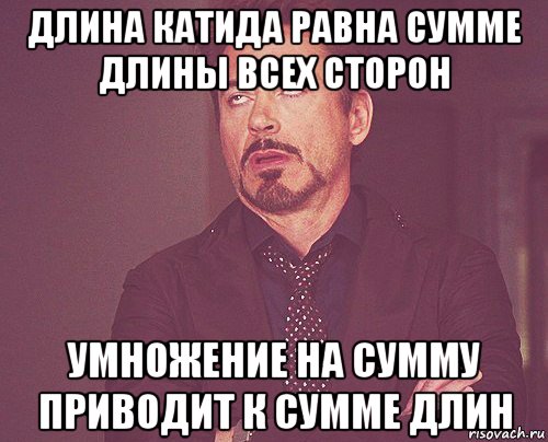 длина катида равна сумме длины всех сторон умножение на сумму приводит к сумме длин, Мем твое выражение лица