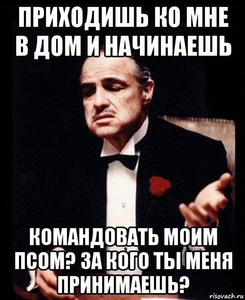 приходишь ко мне в дом и начинаешь командовать моим псом? за кого ты меня принимаешь?