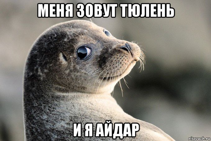 меня зовут тюлень и я айдар