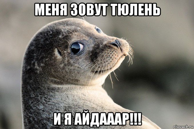 меня зовут тюлень и я айдааар!!!
