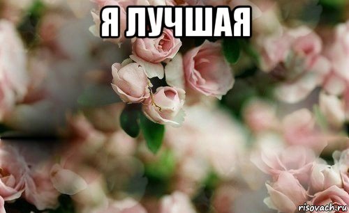 я лучшая 