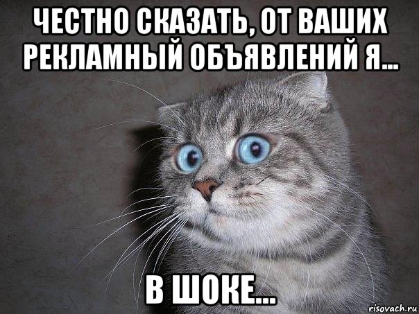 честно сказать, от ваших рекламный объявлений я... в шоке..., Мем  удивлённый кот