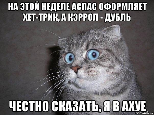 на этой неделе аспас оформляет хет-трик, а кэррол - дубль честно сказать, я в ахуе, Мем  удивлённый кот