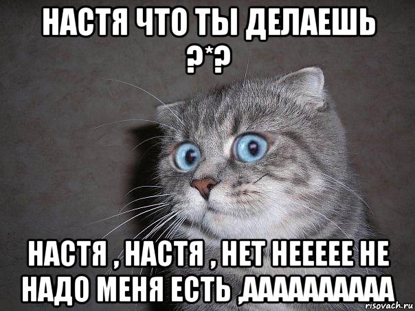 настя что ты делаешь ?*? настя , настя , нет неееее не надо меня есть ,аааааааааа, Мем  удивлённый кот