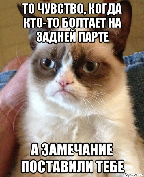 то чувство, когда кто-то болтает на задней парте а замечание поставили тебе