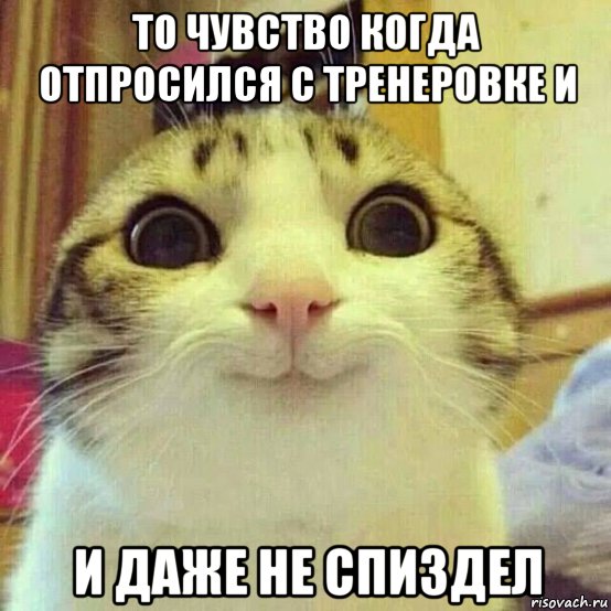 то чувство когда отпросился с тренеровке и и даже не спиздел