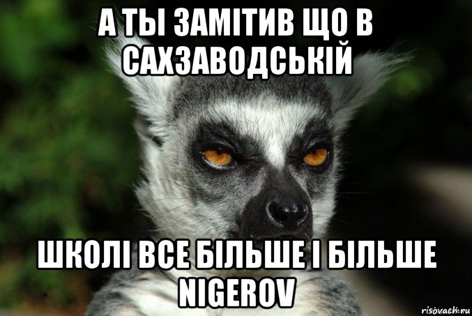 а ты замiтив що в сахзаводськiй школi все бiльше i бiльше nigerov, Мем   Я збагоен