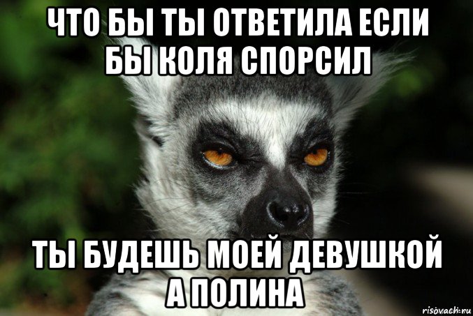 что бы ты ответила если бы коля спорсил ты будешь моей девушкой а полина, Мем   Я збагоен