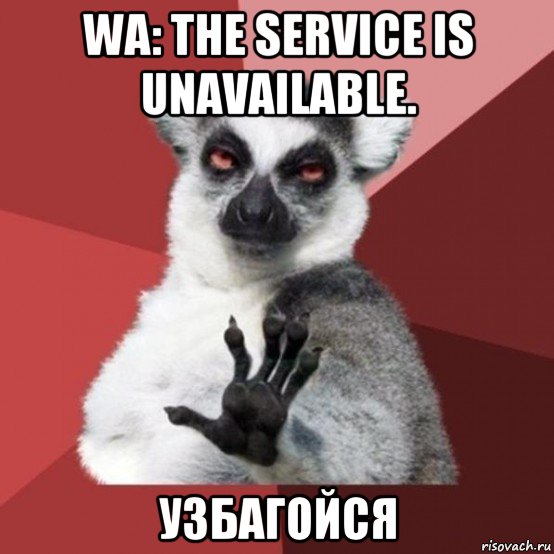 wa: the service is unavailable. узбагойся, Мем Узбагойзя