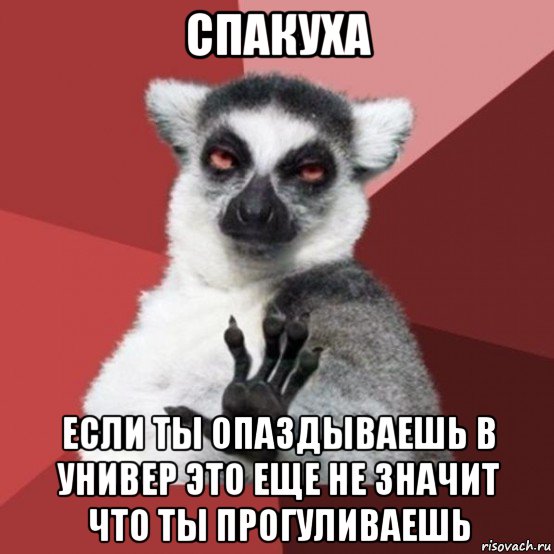 спакуха если ты опаздываешь в универ это еще не значит что ты прогуливаешь, Мем Узбагойзя