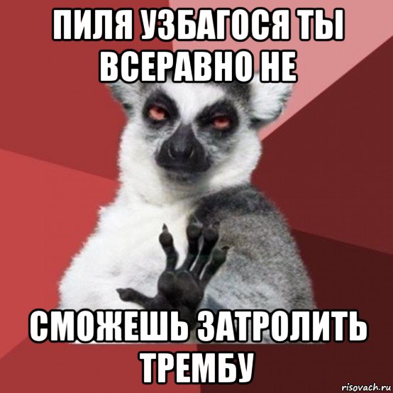 пиля узбагося ты всеравно не сможешь затролить трембу, Мем Узбагойзя