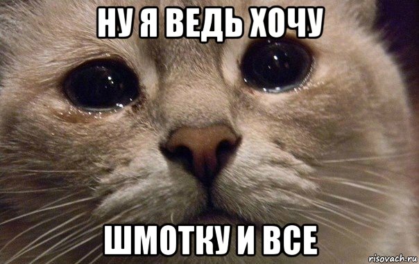 ну я ведь хочу шмотку и все, Мем   В мире грустит один котик