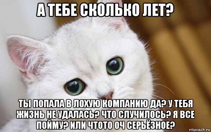 а тебе сколько лет? ты попала в лохую компанию да? у тебя жизнь не удалась? что случилось? я все пойму? или чтото оч серьёзное?, Мем  В мире грустит один котик