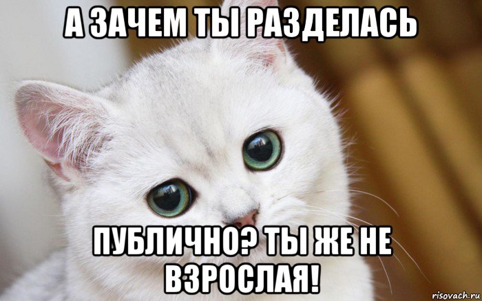 а зачем ты разделась публично? ты же не взрослая!, Мем  В мире грустит один котик