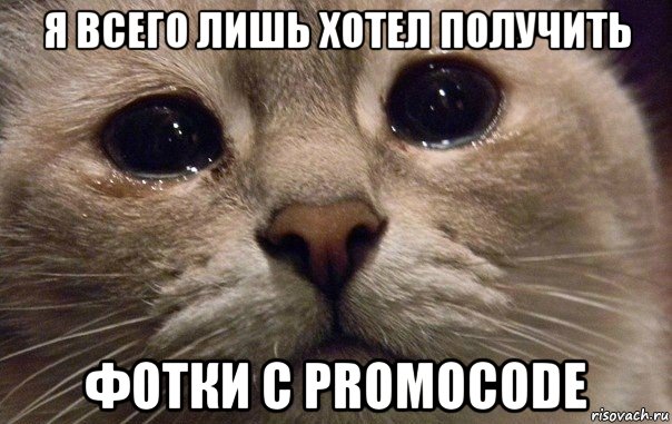 я всего лишь хотел получить фотки с promocode, Мем   В мире грустит один котик