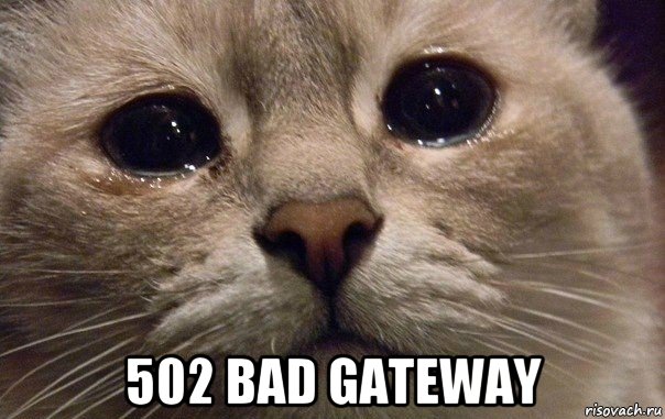  502 bad gateway