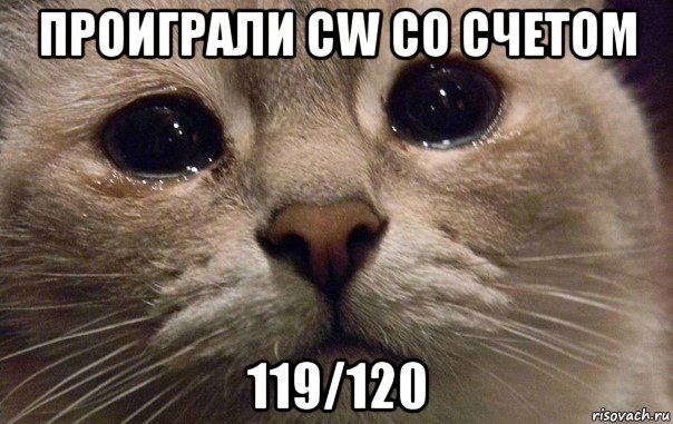 проиграли cw со счетом 119/120, Мем   В мире грустит один котик