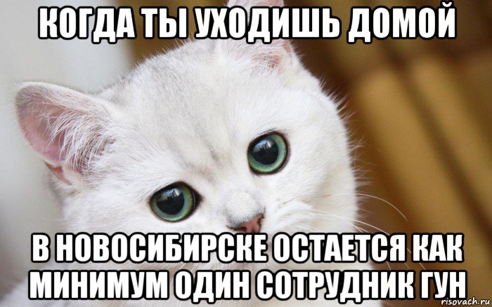 когда ты уходишь домой в новосибирске остается как минимум один сотрудник гун