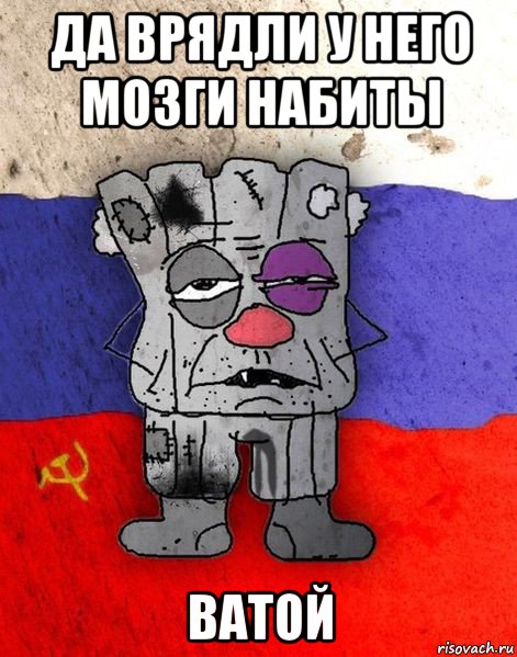 да врядли у него мозги набиты ватой, Мем Ватник