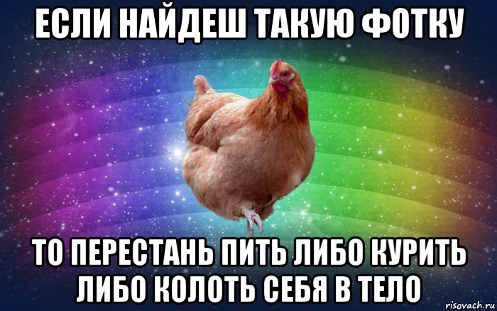 если найдеш такую фотку то перестань пить либо курить либо колоть себя в тело, Мем Весела Курка