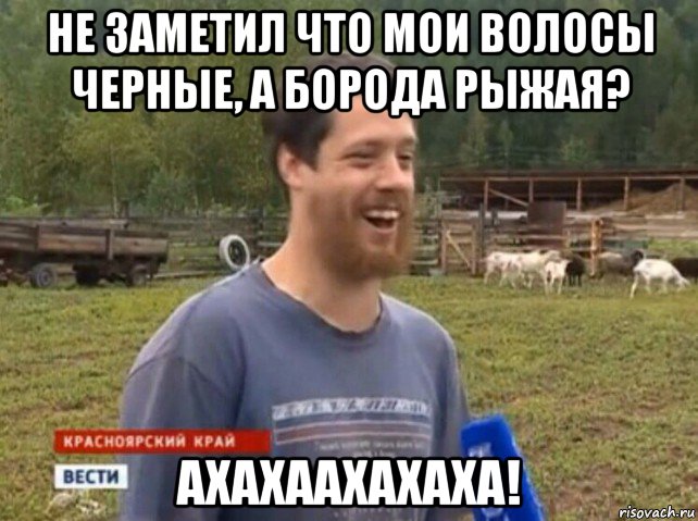 не заметил что мои волосы черные, а борода рыжая? ахахаахахаха!, Мем  Веселый молочник Джастас Уолкер