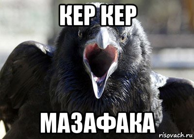 кер кер мазафака, Мем ворона