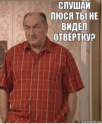 Слушай Люся ты не видел отвёртку?, Комикс Николай Петрович Воронин